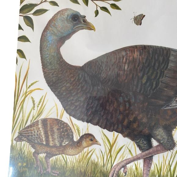 Hester & Cook Heritage Hen Pad of 24 Paper Placemats NWT - Picture 5 of 7